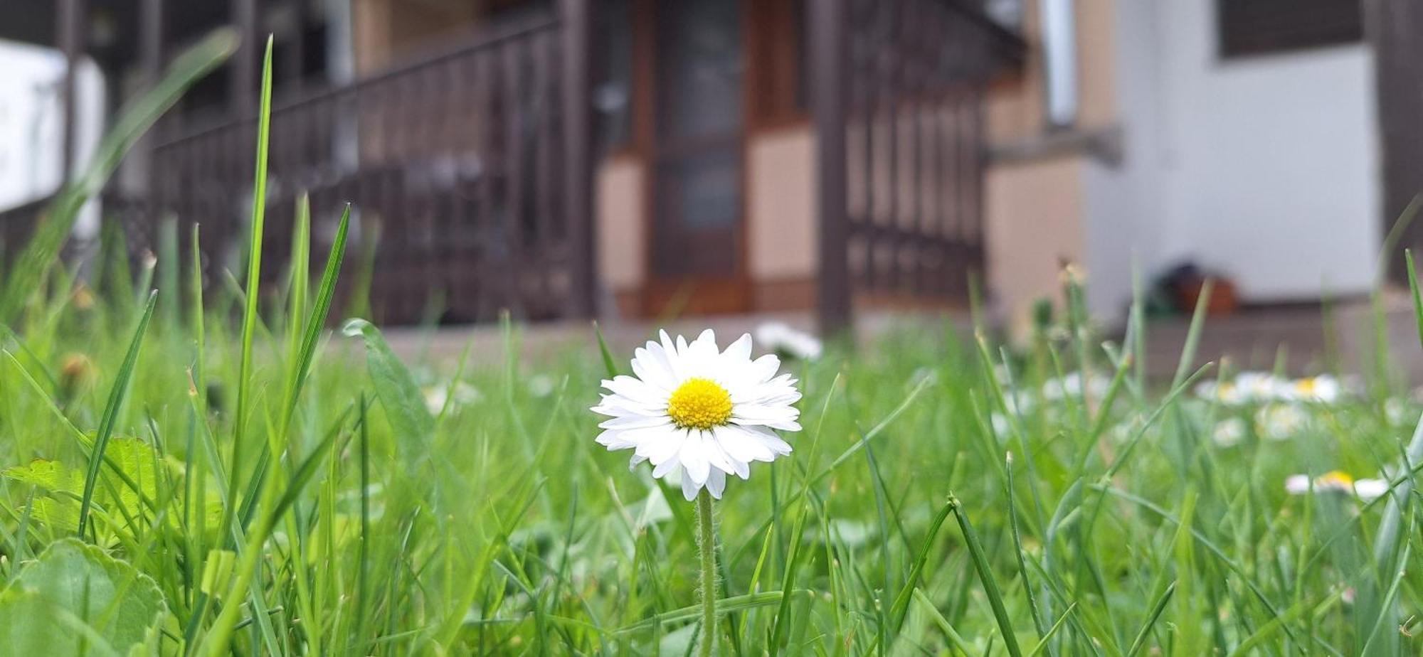 For You Apartman Gyula Bagian luar foto